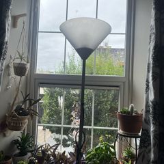 lamps