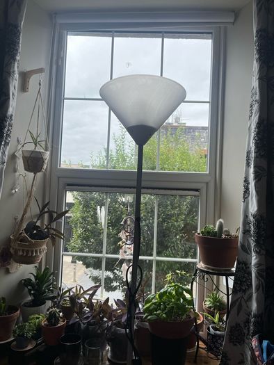 lamps