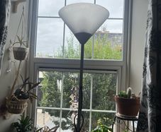 lamps