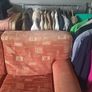 2 seater sofa Image 4