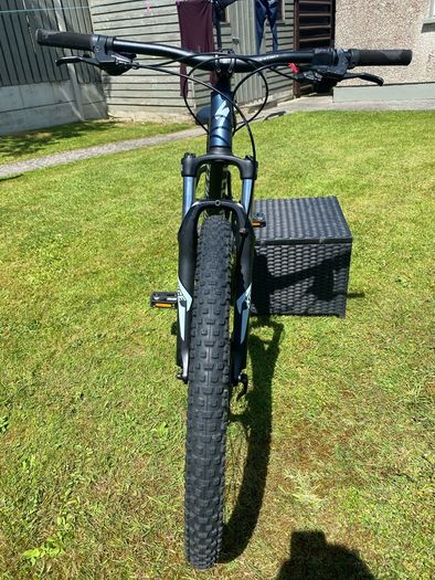specialized
