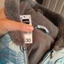 boys snowsuit 3/4 yo Image 3