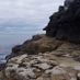 michu3091