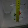 lovely Irish bone china jug the emerald isle collections Image 3