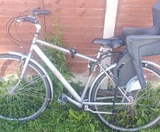 Adult Bike with kids seat