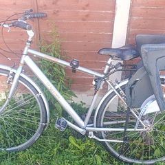 Adult Bike with kids seat