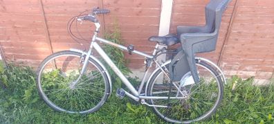 Adult Bike with kids seat