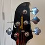 Ibanez TMB35 5 string Short Scale bass with Delano Pickups ! Image 9