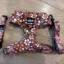 Dog harness and lead. Size S. 7 designs available. 20 euro each. Image 5