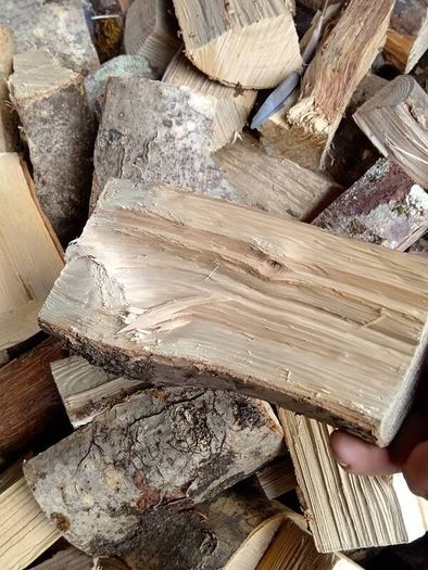 Hardwood ash Firewood