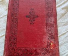 Homer Odyssey books XIII - XXIV 1928 hardback in Greek with English translations at the back some pencil underlining in used condition with all pages intact FREE STANDARD POSTAGE INCLUDED
