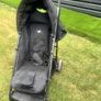 Buggy Image 2