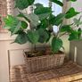 Washed rattan planter console or centrepiece with timer lights Image 6