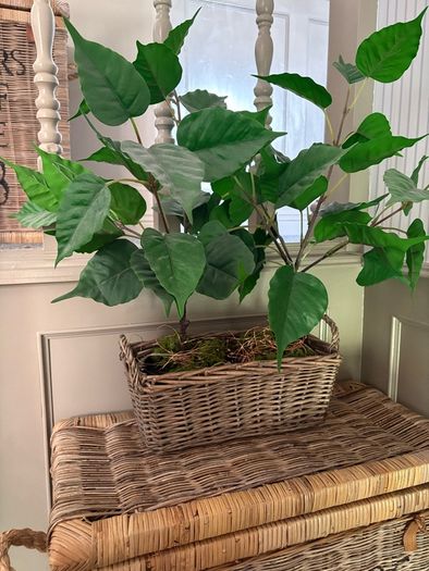 Washed rattan planter console or centrepiece with timer lights