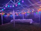 Party Tent / Gazebo / Marquee Hire Image 7
