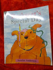 Children's book Backseat's Special Day