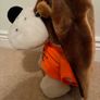 teddy Image 2