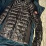 canada goose hybridge Image 3