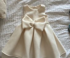 flower girl dress (Next)