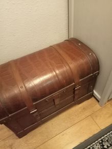 Storage trunk