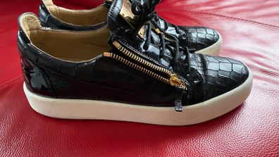 giuseppe zanotti