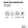 (S) Sweet Pea Spencer Mix seeds 2g (414468) Image 3