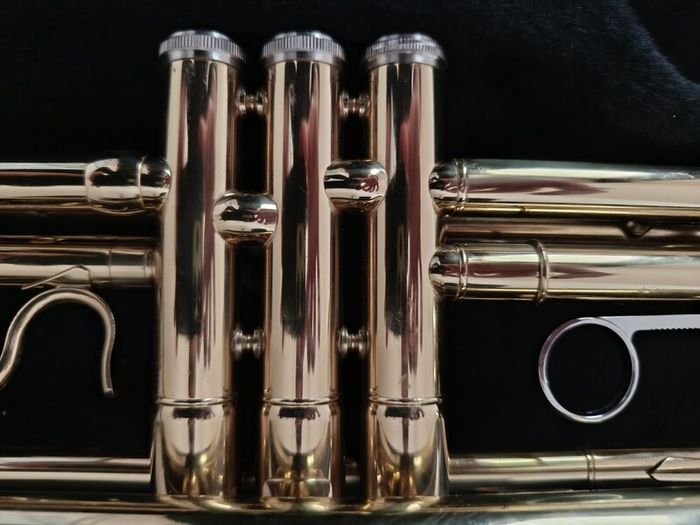 Trumpet