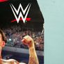 WWE CM Punk Elite Collection 121 - Mattel Wrestling Figure Image 7