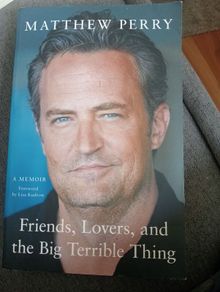 Friends, Lovers, and the Big Terrible Thing book