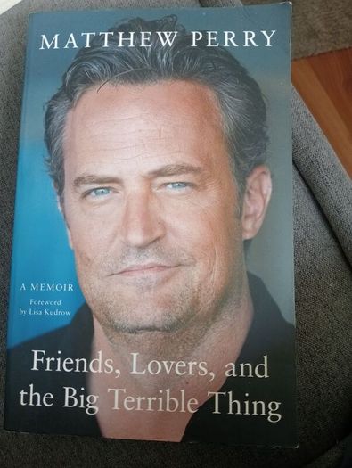 Friends, Lovers, and the Big Terrible Thing book