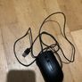 mouse Image 2
