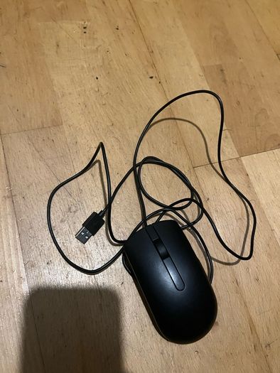 mouse