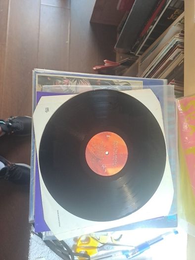 Vinyl Paul Mc Cartney.