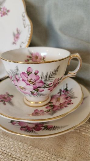 1960s Royal Tara Galway Fine Bone China Tea Set Wild Rose & Fern