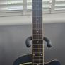 Ibanez AEL10E Acoustic Guitar Image 4