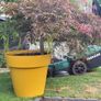 flower pot Image 2