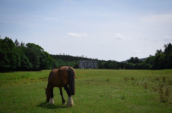 Framed Original print kinnitty Castle