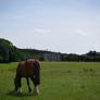 Framed Original print kinnitty Castle Image 2