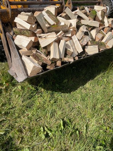 Ash Firewood