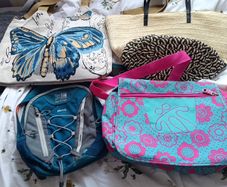 free ladies bags