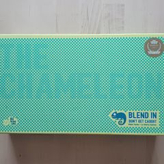 The Chameleon Party Family Board Game 2017