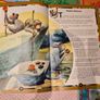 Vintage oversized Book World of Animals Image 6