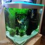 Fluval 150lt aquarium Image 2