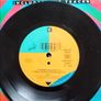 Vinyl B52's Roam Image 2