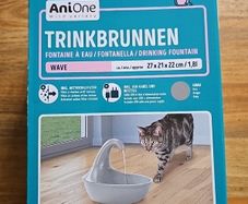 Cat drinking fountain