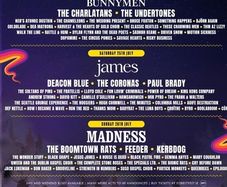 Forest Fest saturday family ticket