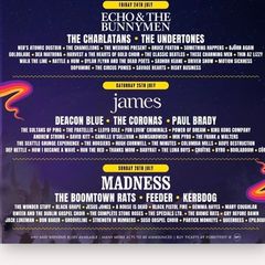 Forest Fest saturday family ticket