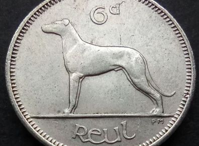 [#490] - Ireland 1959 | Irish 6p | Six Pence | Wolfhound | KM.13a