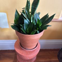 indoor planter