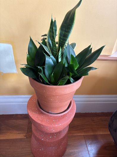 indoor planter